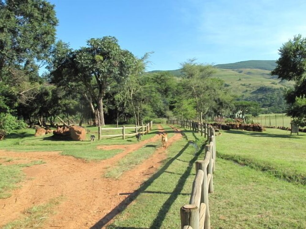 Caracal Lodge 13/36