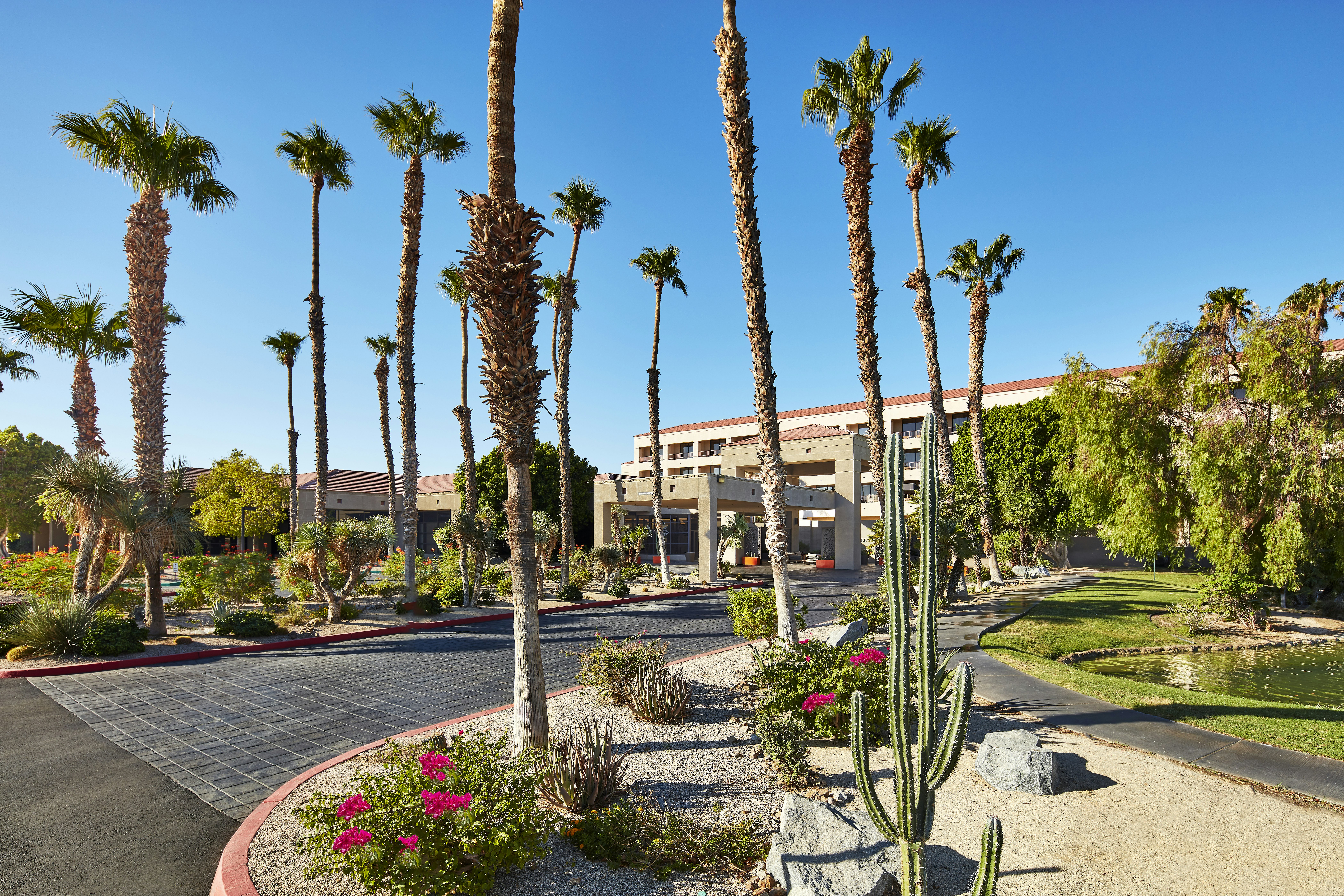 Doubletree By Hilton Golf Resort Palm Springs 67/81