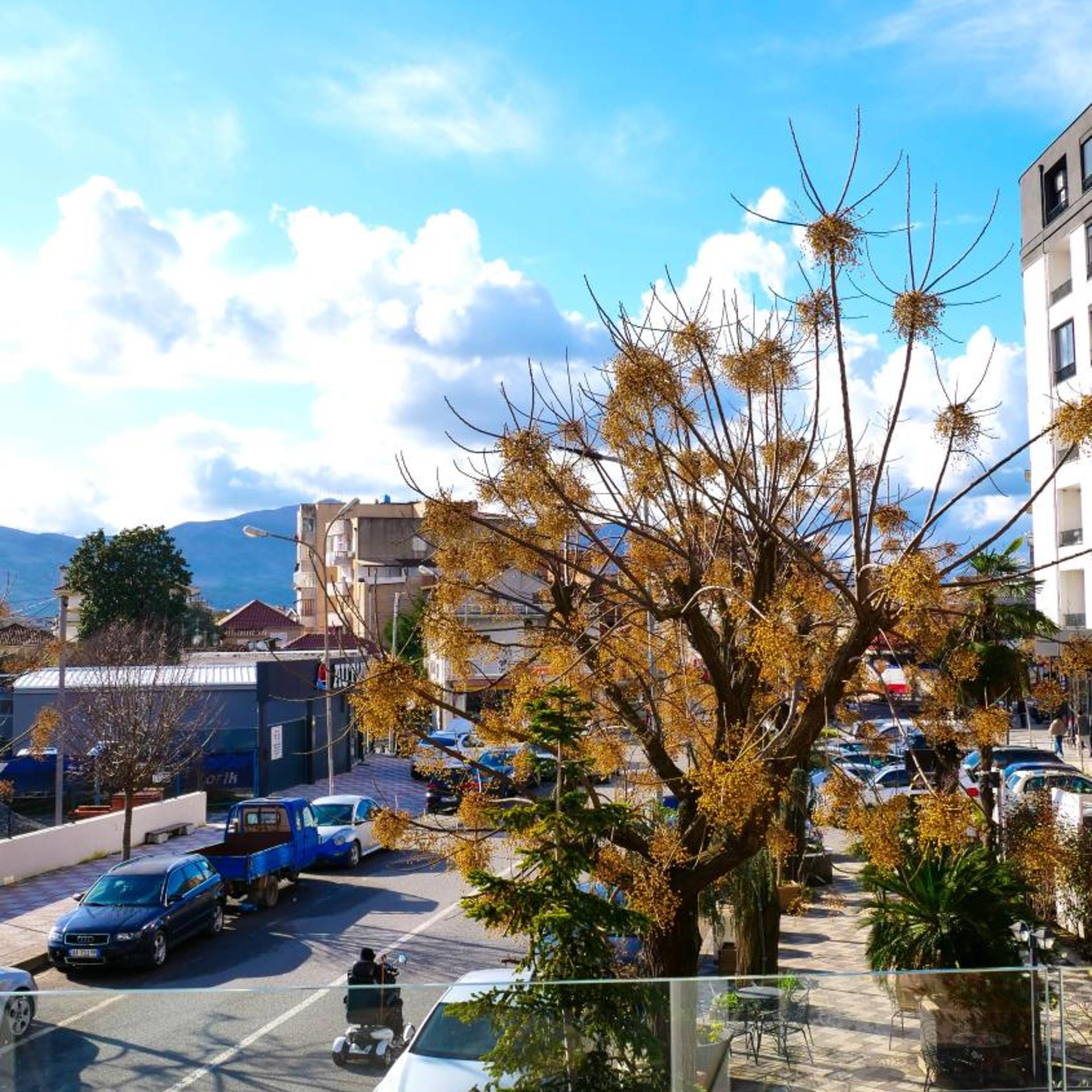 Nord Hotel Boutique 55/66