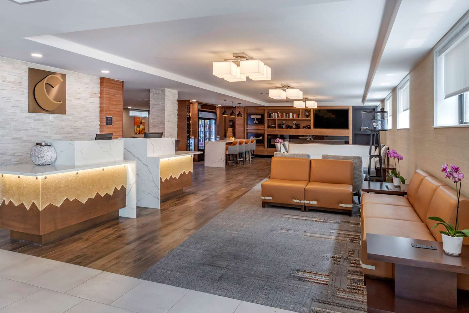 Comfort Inn JFK Airport 7/15