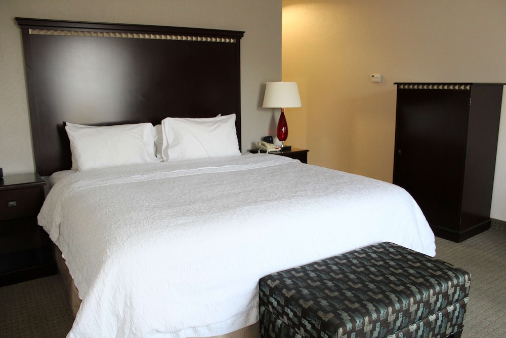 Hampton Inn Suites Mount Pleasant 22/61