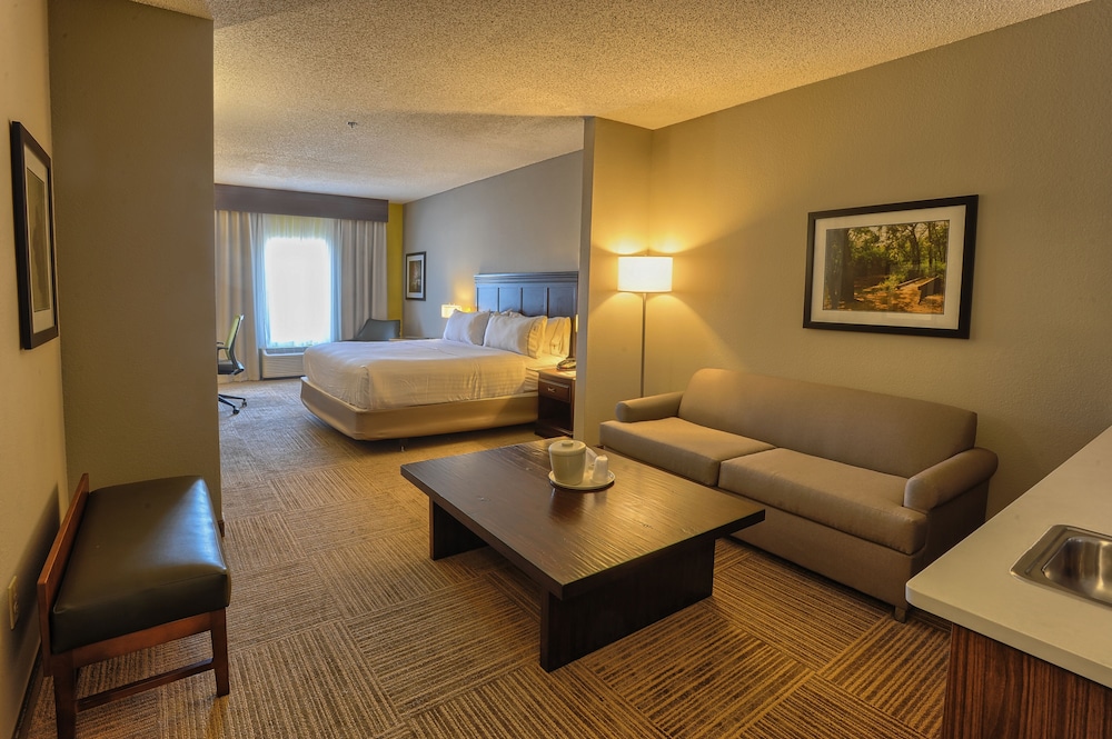 Holiday Inn Express Hotel Suites Pell City 47/71