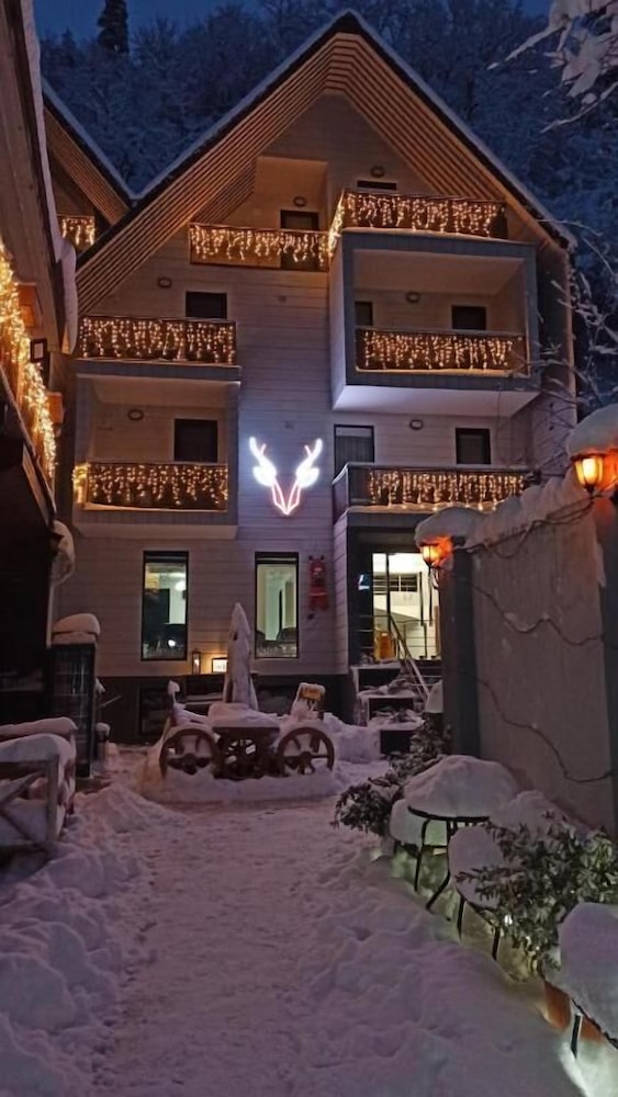 Borjomi Underwood Hotel 5/60