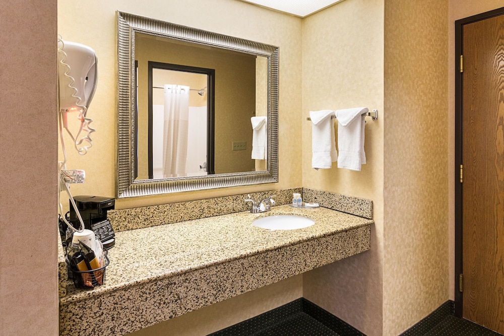 Quality Inn Parkersburg North Vienna 19/31