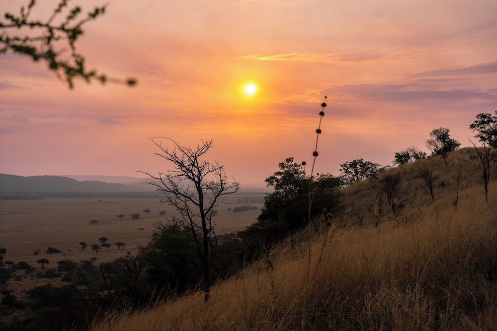 Neptune Serengeti Luxury Tented Camp 45/50