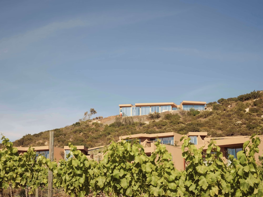 Banyan Tree Veya Valle de Guadalupe 86/91