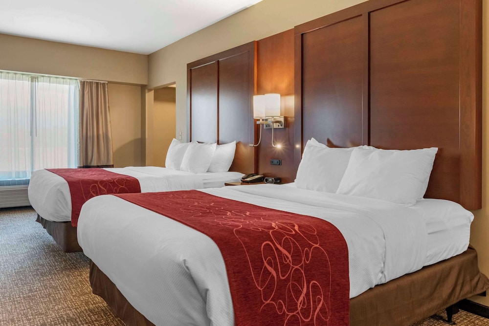 Comfort Suites Manheim - Lancaster 21/55