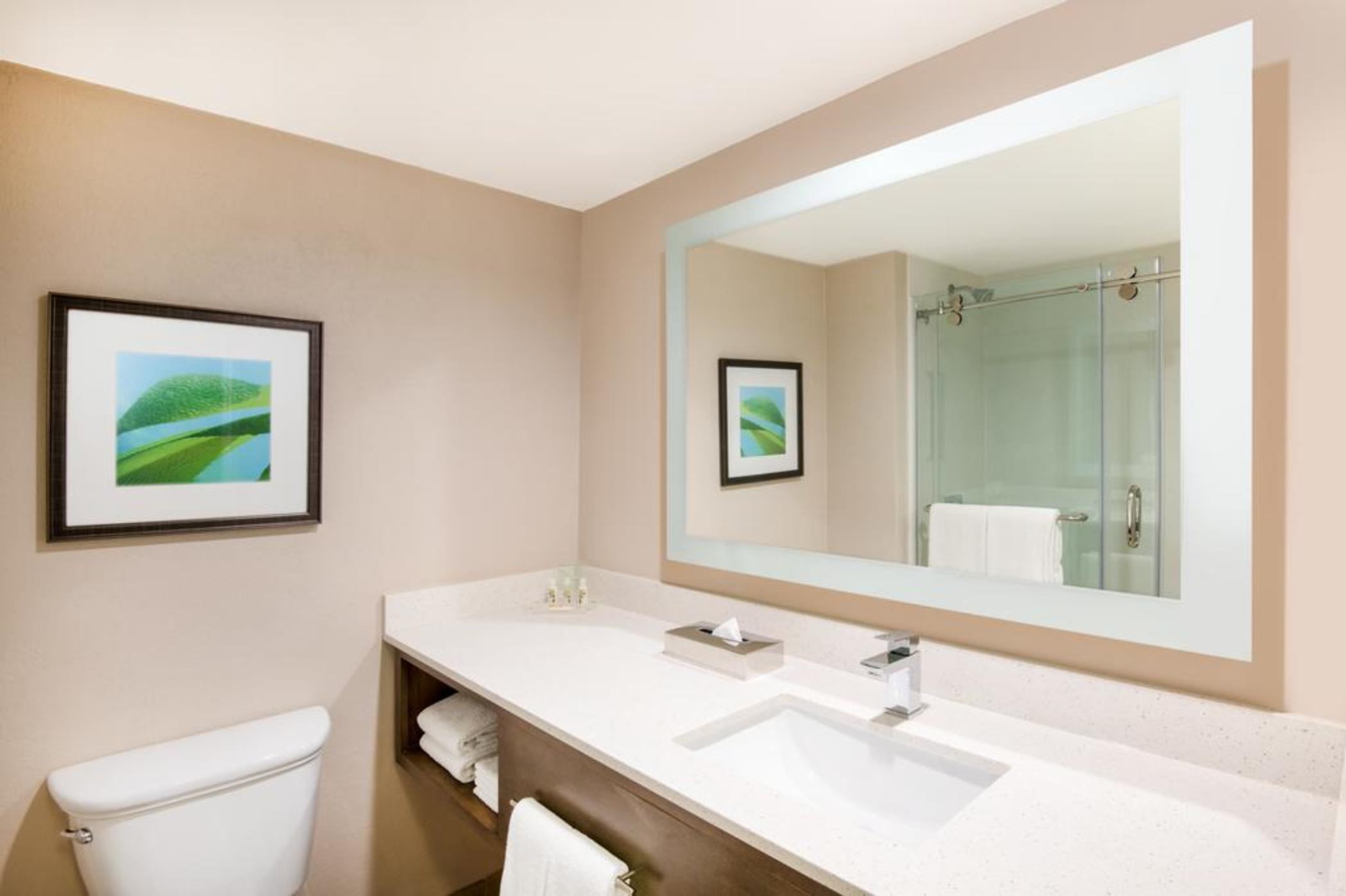 Standard Ocean Front، Holiday Inn Resort Aruba-Beach 3/3