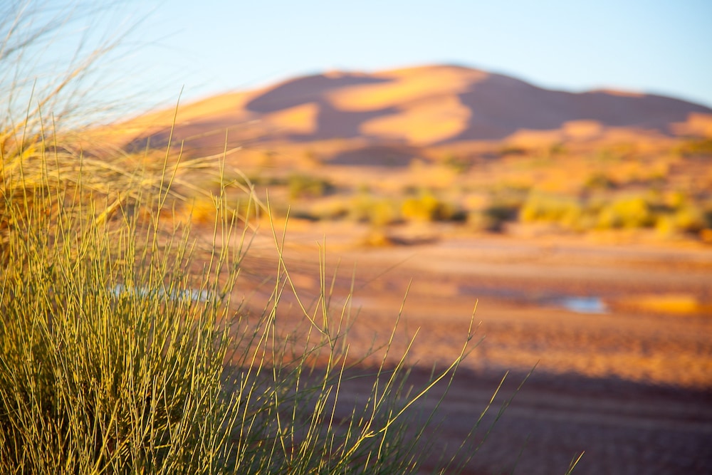 Kam Kam Dunes 37/48