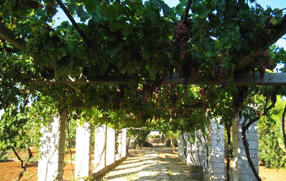 Masseria Cristo 57/68