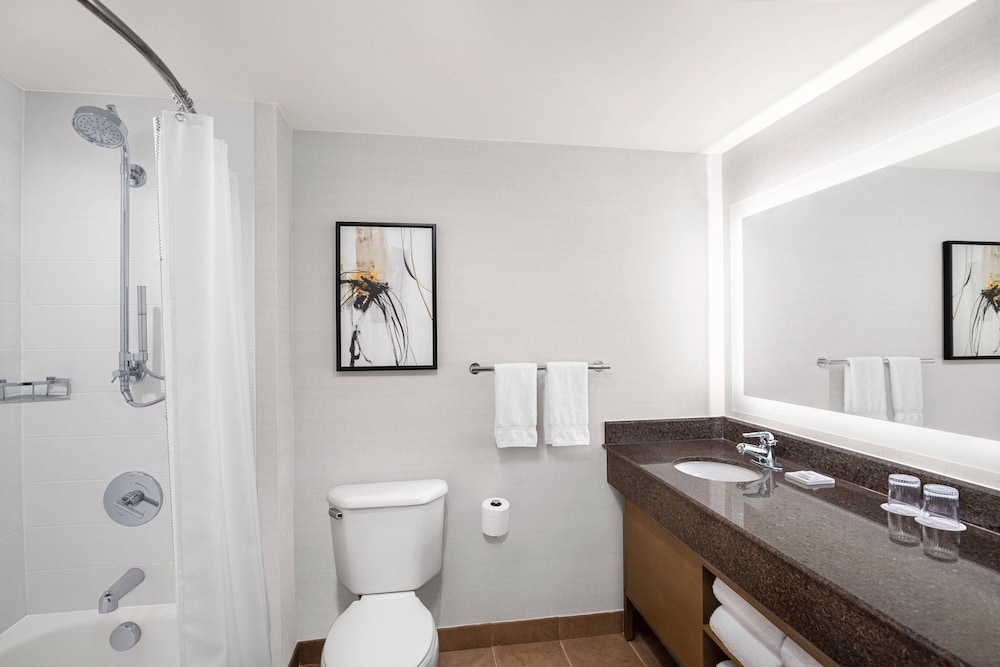 Delta Hotels Anaheim Garden Grove 13/41