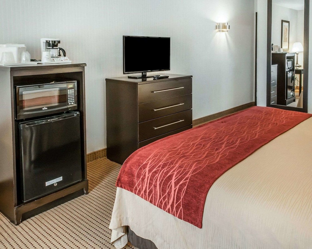 غرفة قياسية بسرير كينج، Quality Inn Suites Farmington 3/6