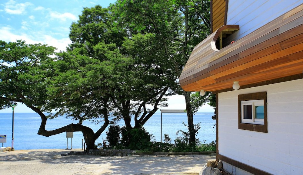 Pinky Marine Pension 41/50