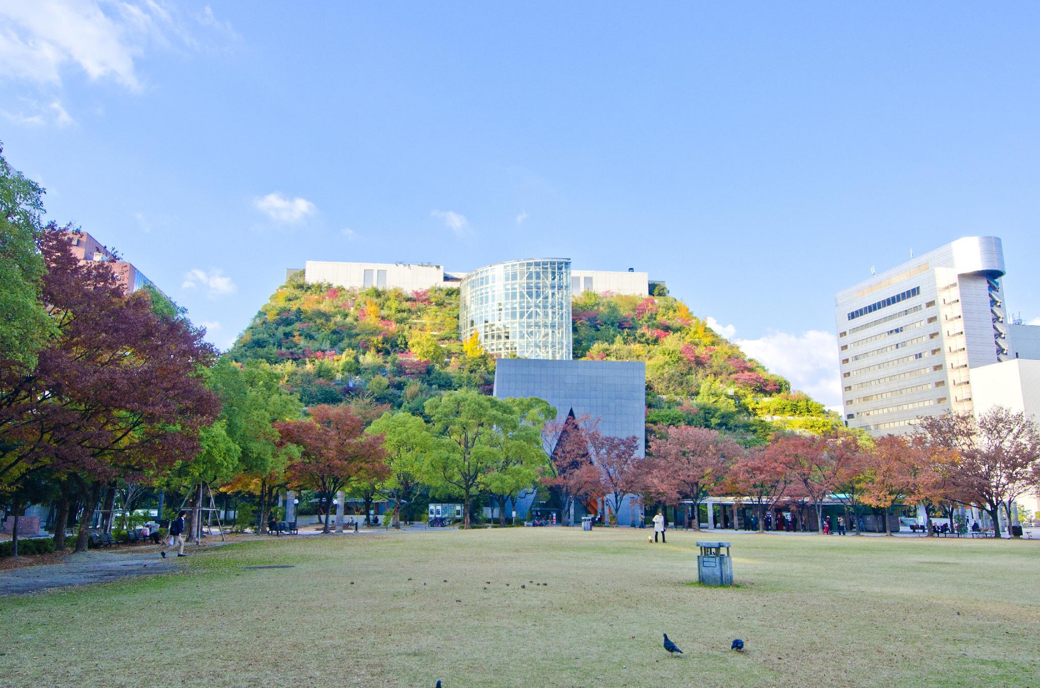 Hotel Yumeya 17/18