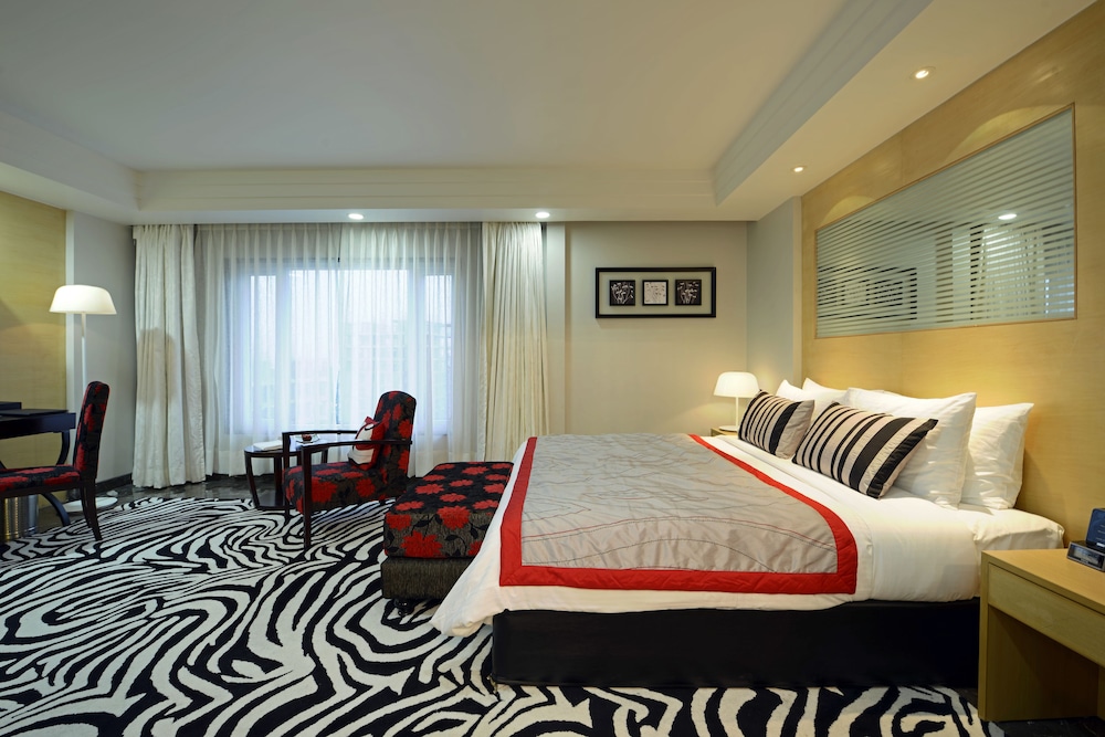 Radisson Blu Hotel Ahmedabad 13/71