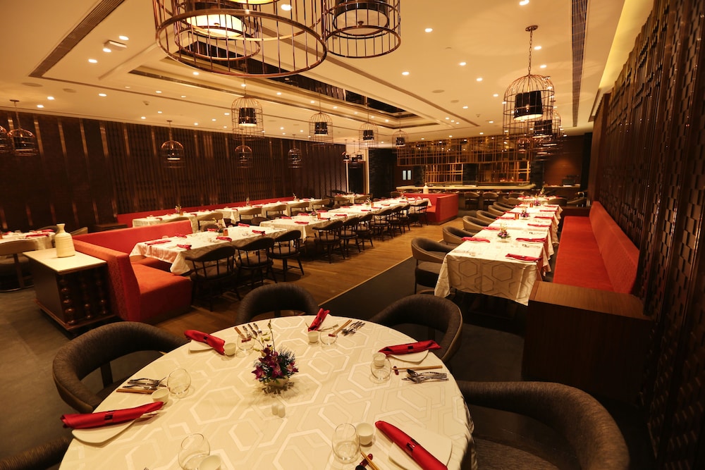 Pride Plaza Hotel, Aerocity, New Delhi 33/48