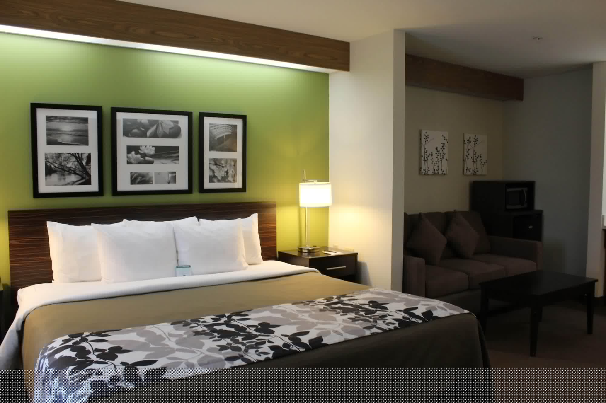 Upgrade, King Bed, Sofa, Accessible