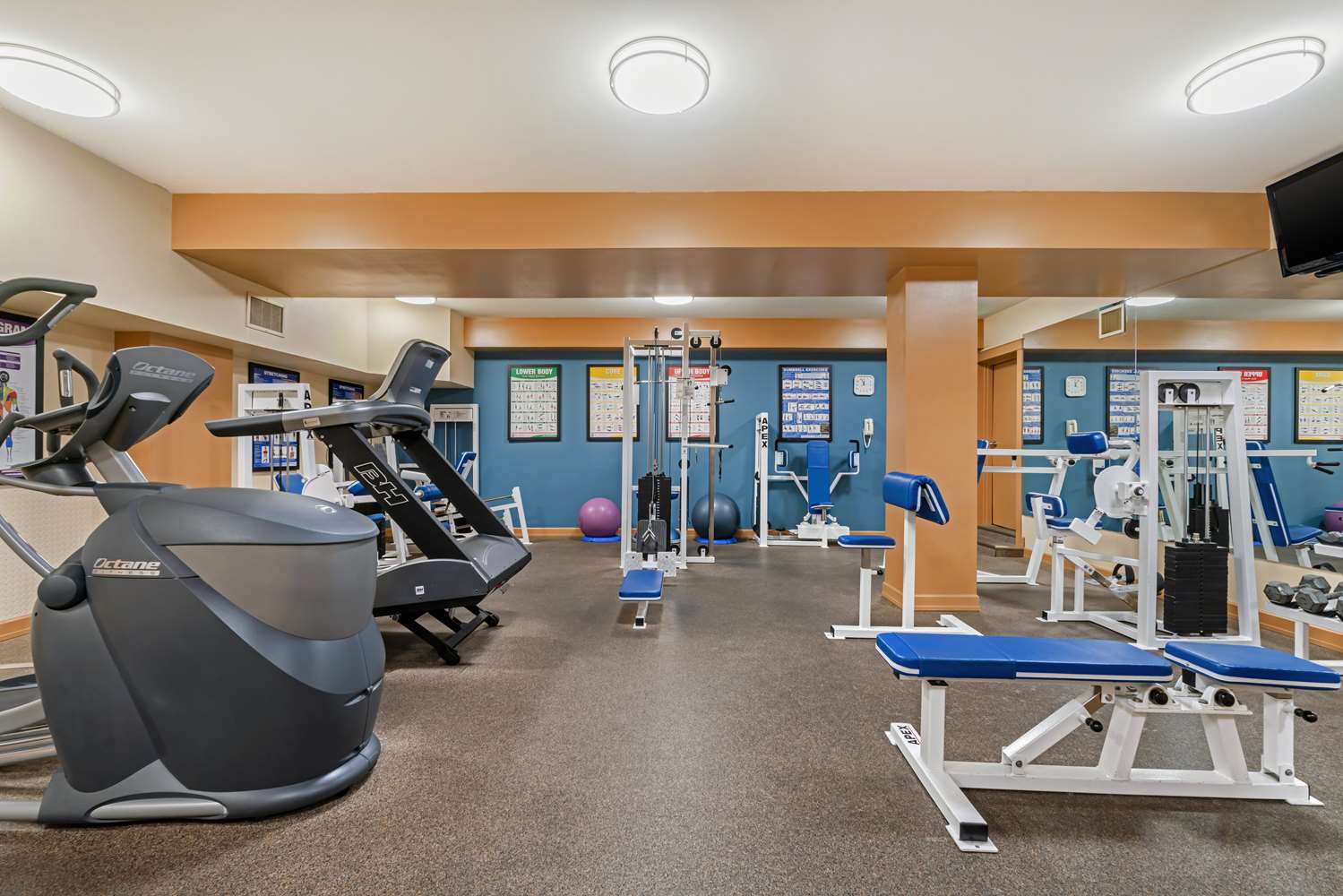 Best Western Plus Barclay Hotel 18/33