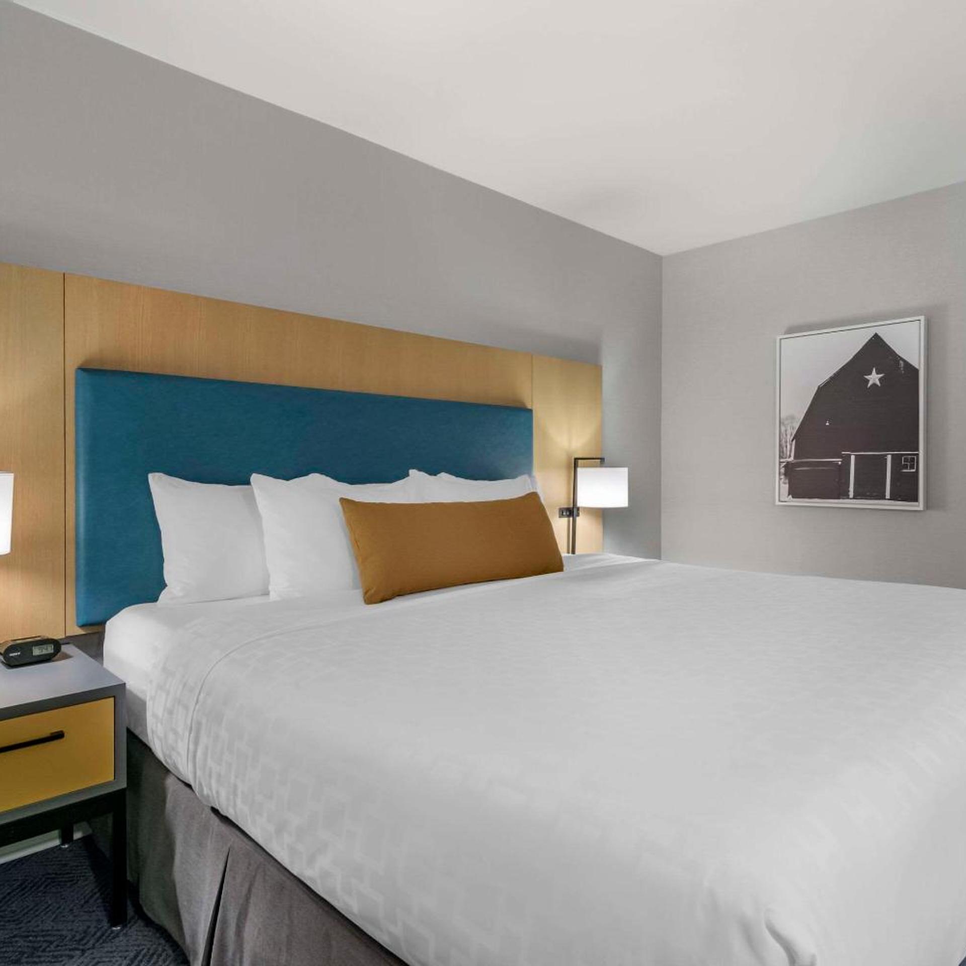 جناح جونيور بسرير كينج، Clarion Hotel & Conference Centre Abbotsford - Fraser Valley 4/10