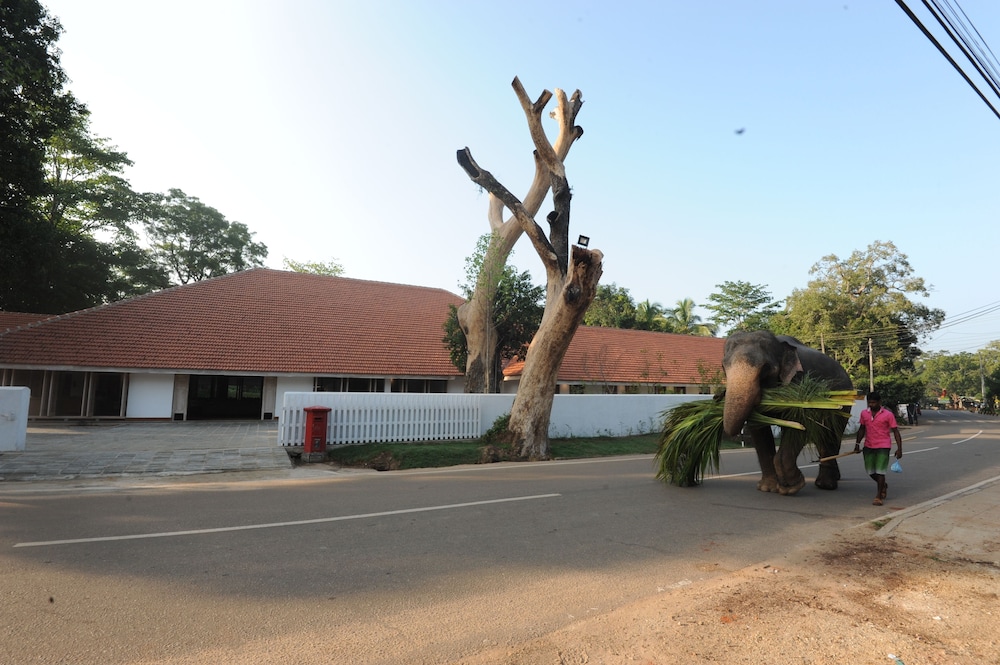 Ekho Sigiriya in SIGIRIYA