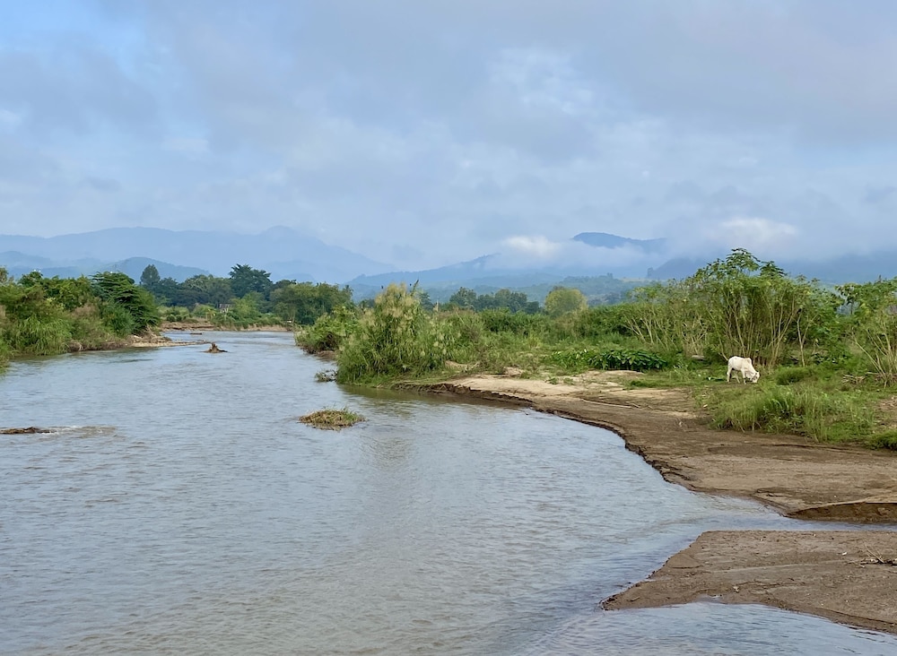 PURA VIDA PAI RESORT 53/65