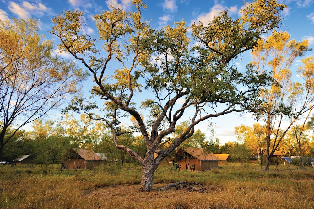Bungle Bungle Wilderness Lodge 23/30