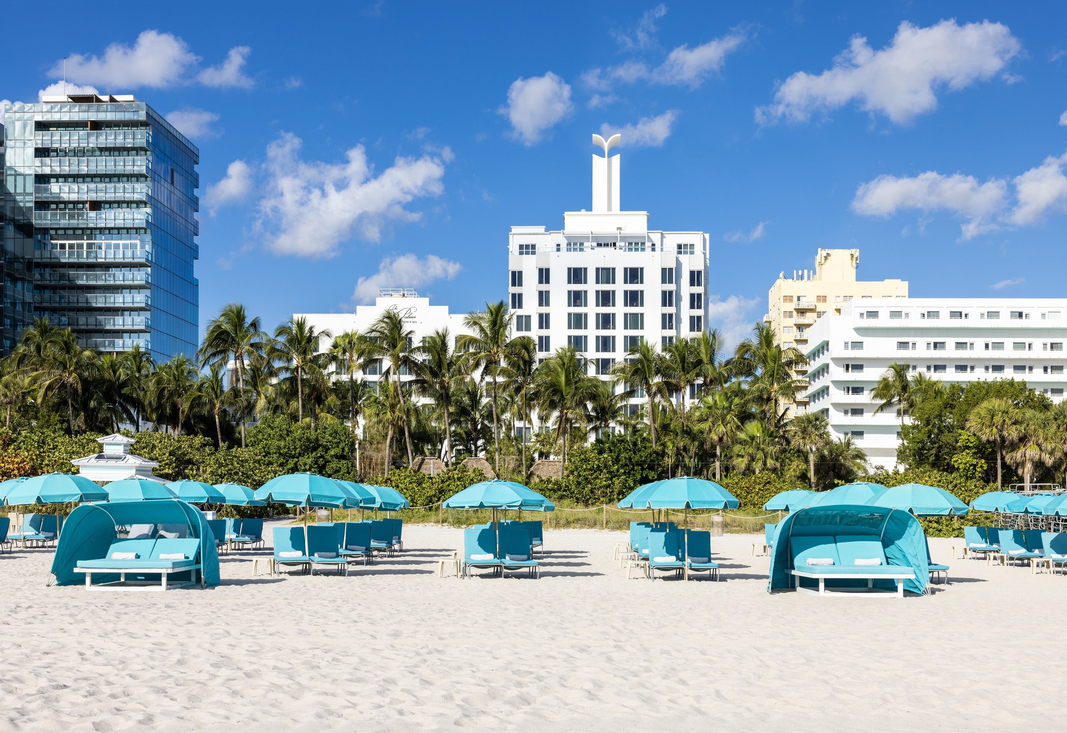 The Palms Hotel and Spa 40/50