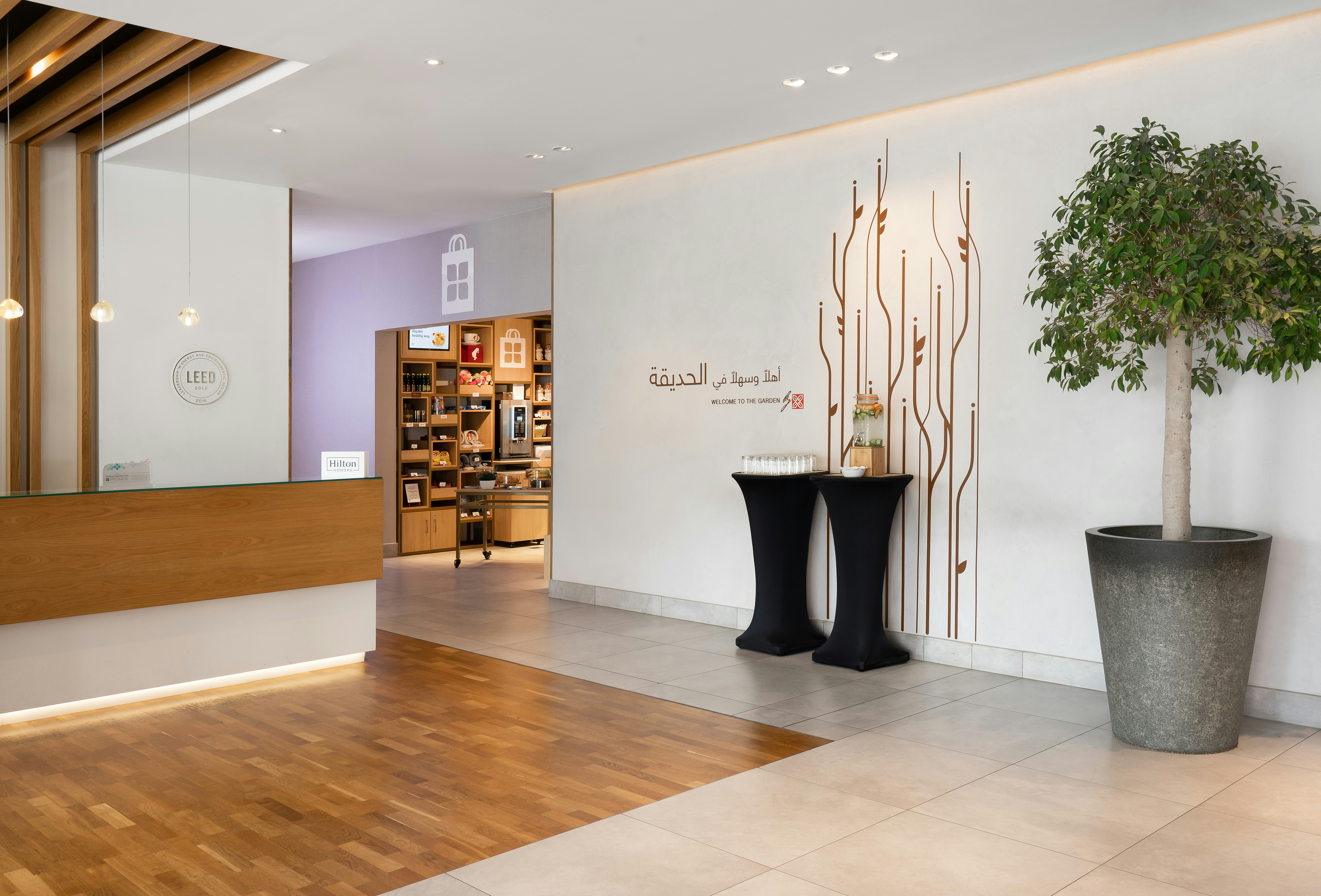 Hilton Garden Inn Dubai Mall Avenue 6/47