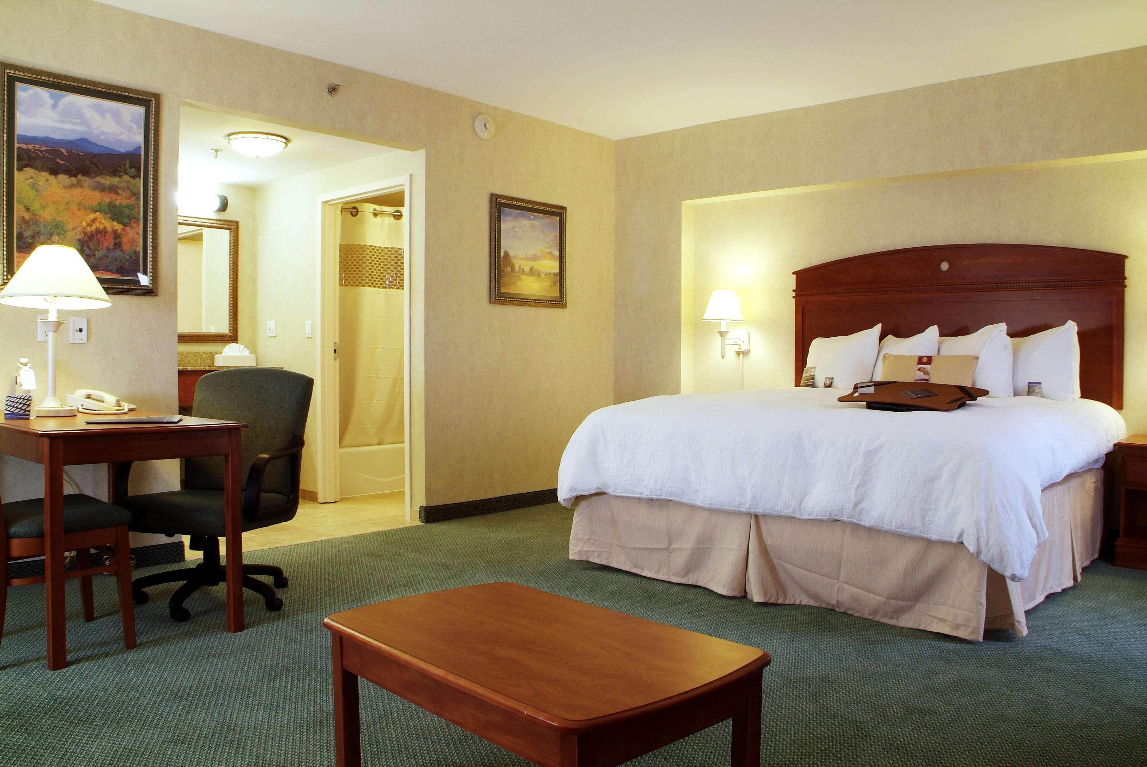 Studio, Suite, King Bed, Sofa