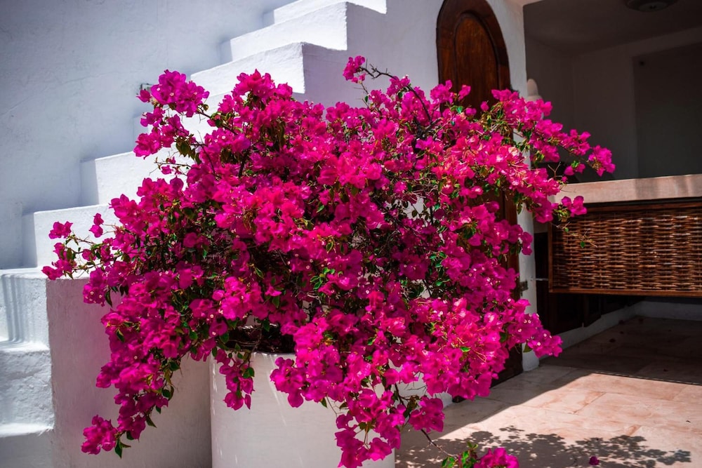 Aguamarina Hotel Boutique 43/50
