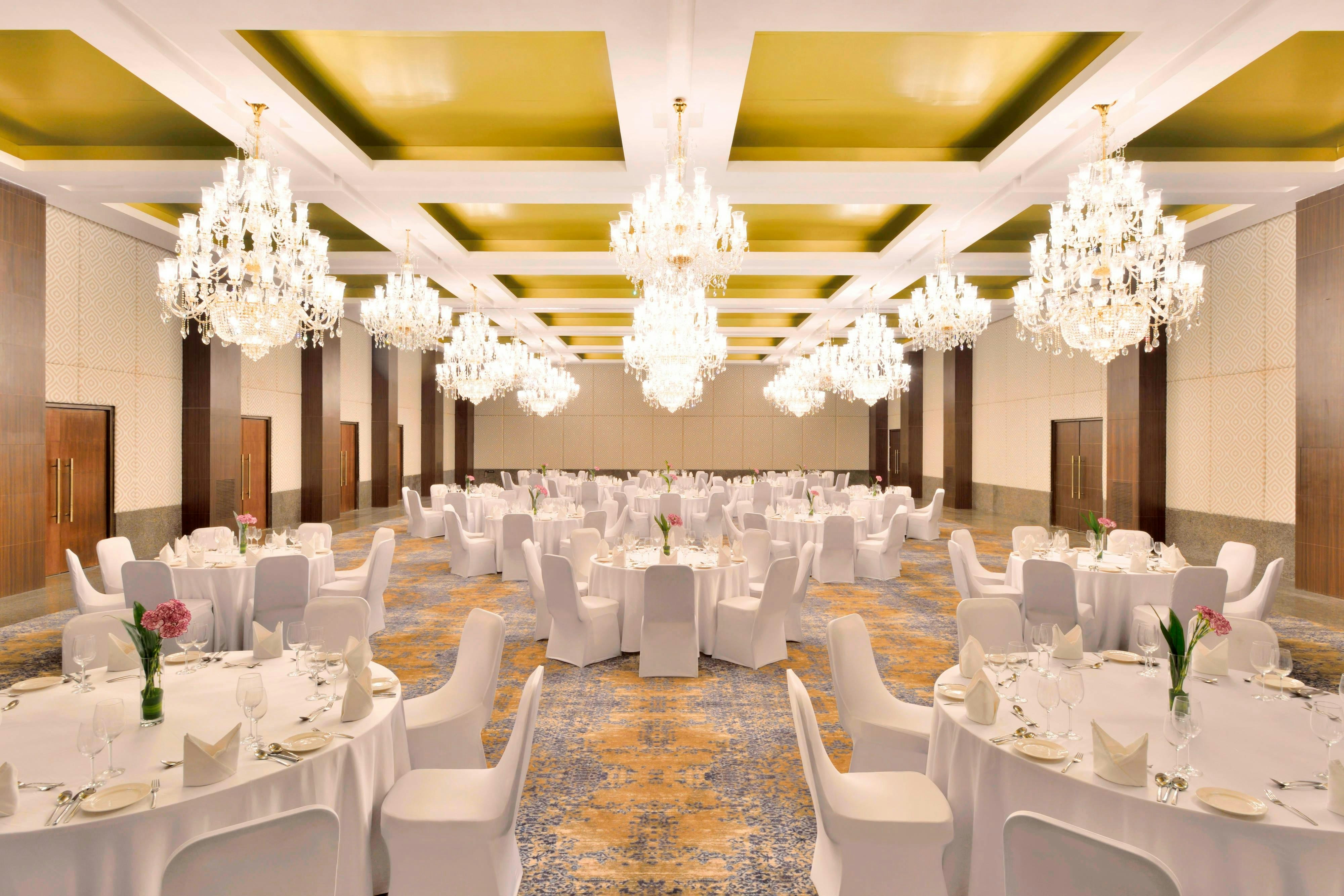 The Westin Pushkar Resort & Spa 35/43