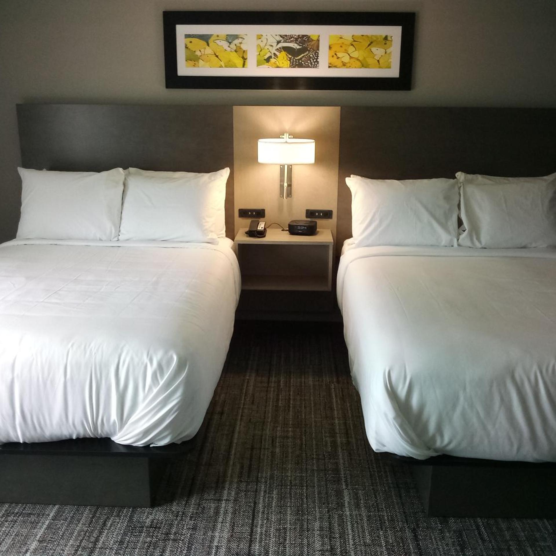 Room, Quadruple, Accessible