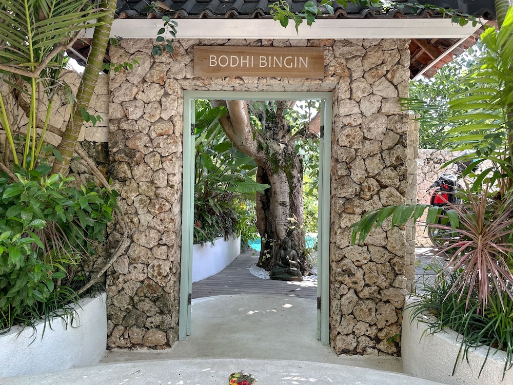 Bodhi Bingin 2/50