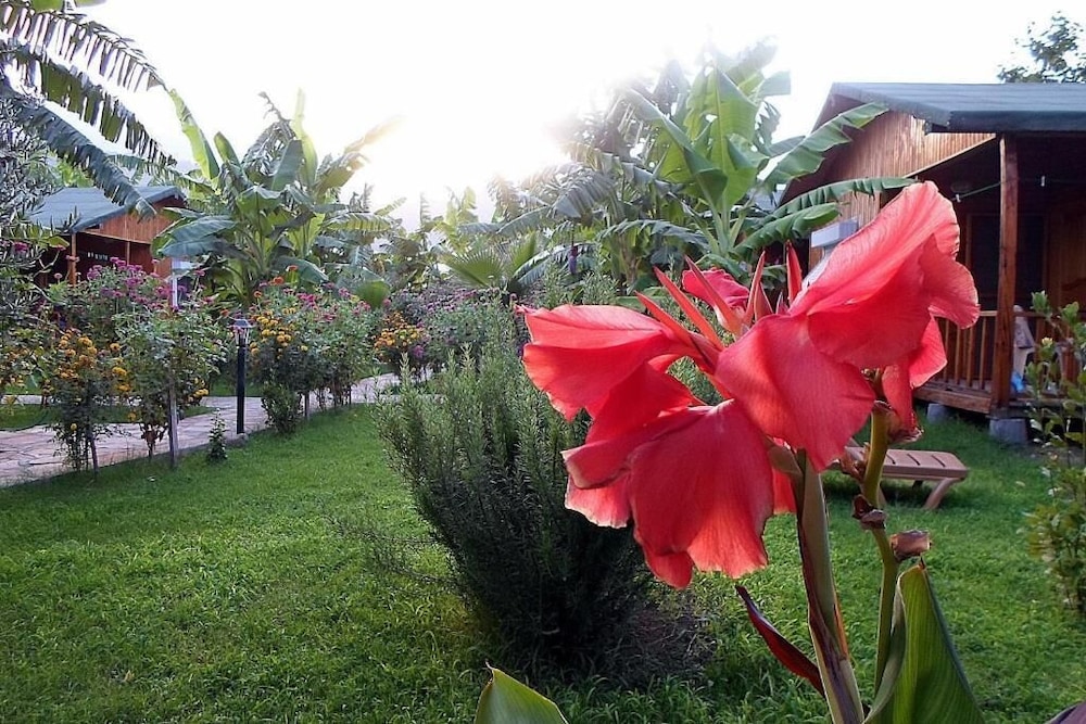 Estelar Bungalow 25/48