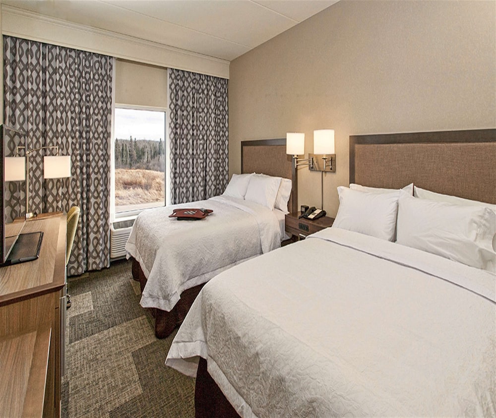 Hampton Inn Hibbing 13/47