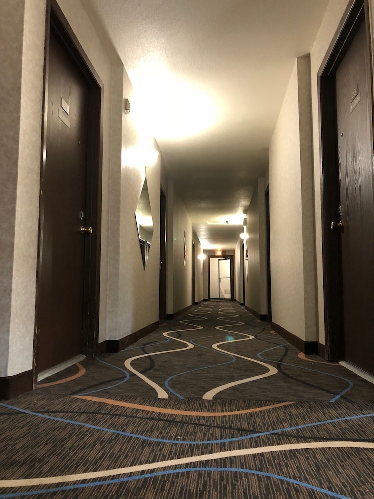 McGoverns Hotel and Suites 37/45
