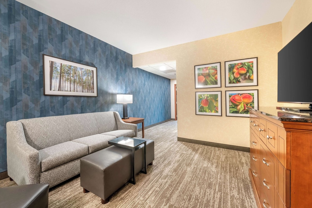 Drury Inn and Suites Valdosta 32/48
