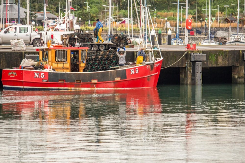 The Salty Dog Hotel & Bistro 61/71