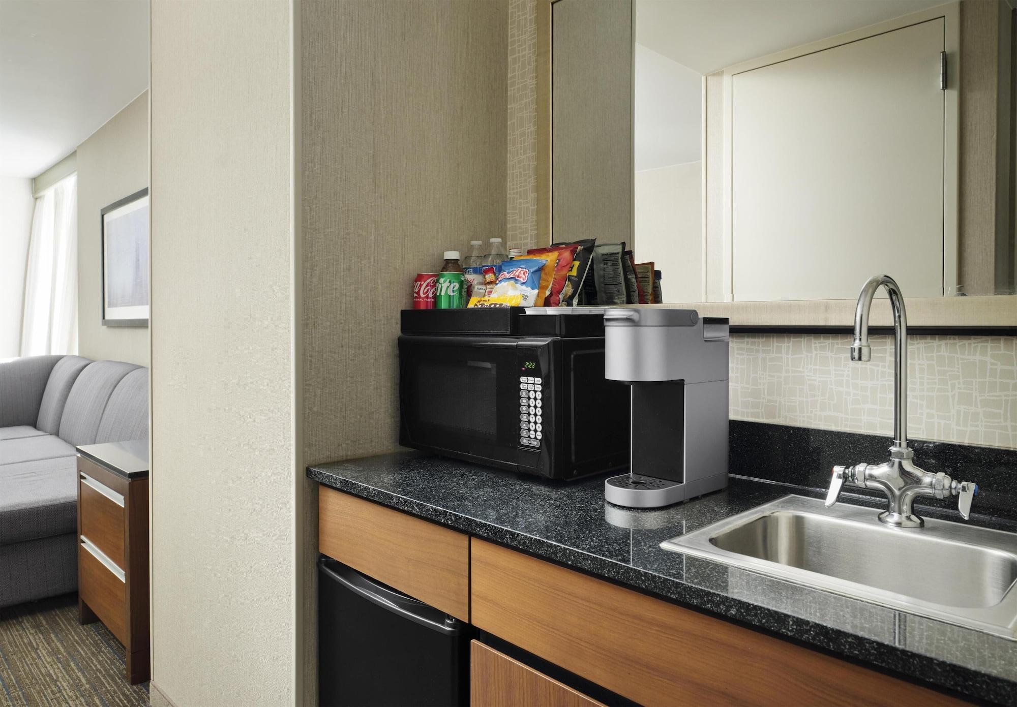 Premium, Suite, Multiple Beds, Lake View، Embassy Suites by Hilton Chicago Downtown Magnificent Mile 3/3