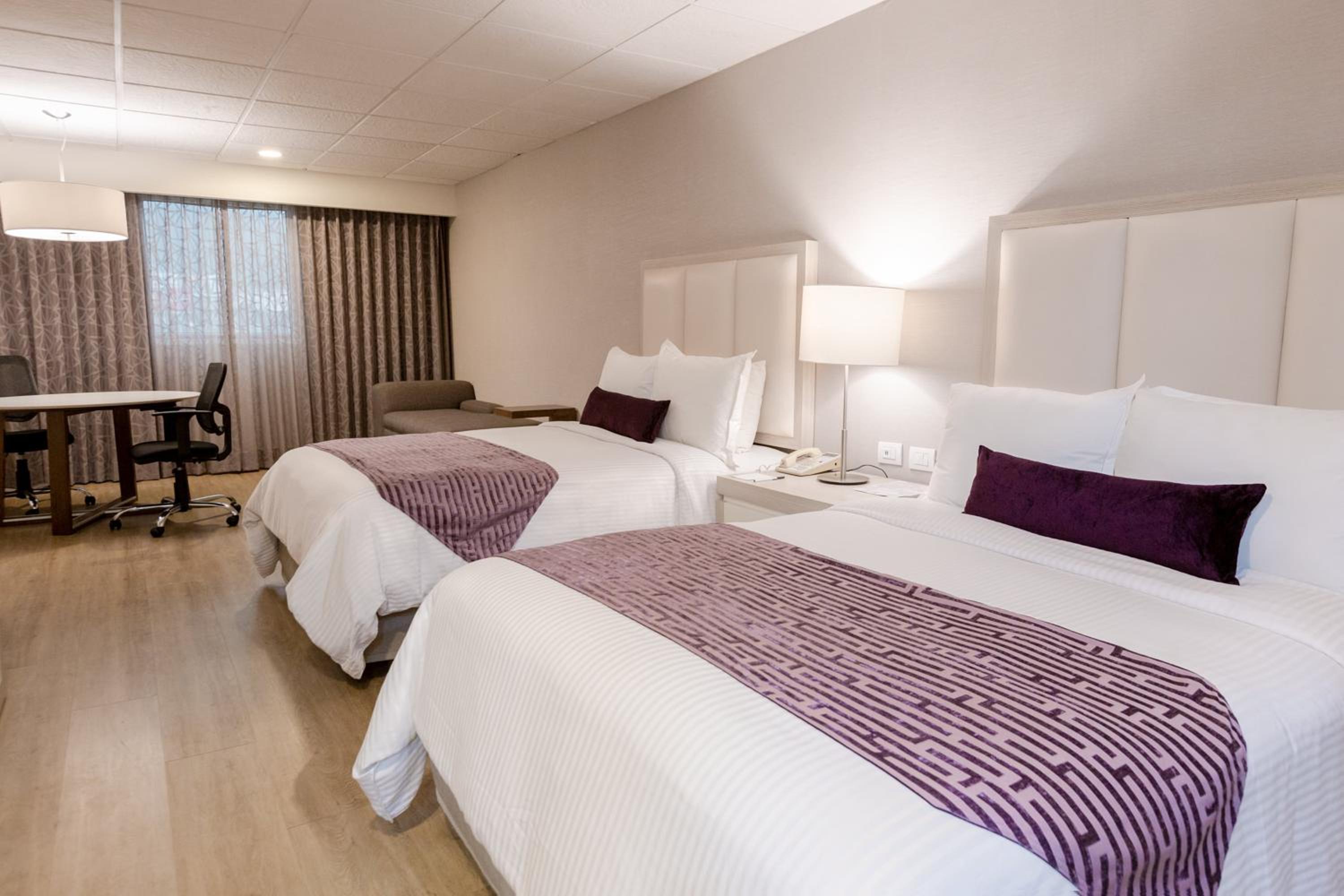 Junior Suite, Deluxe