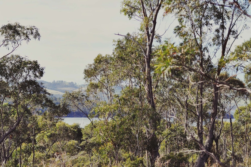 Oyster Cove Chalets 30/42