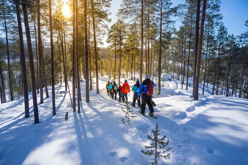 Wilderness Hotel Inari 54/65