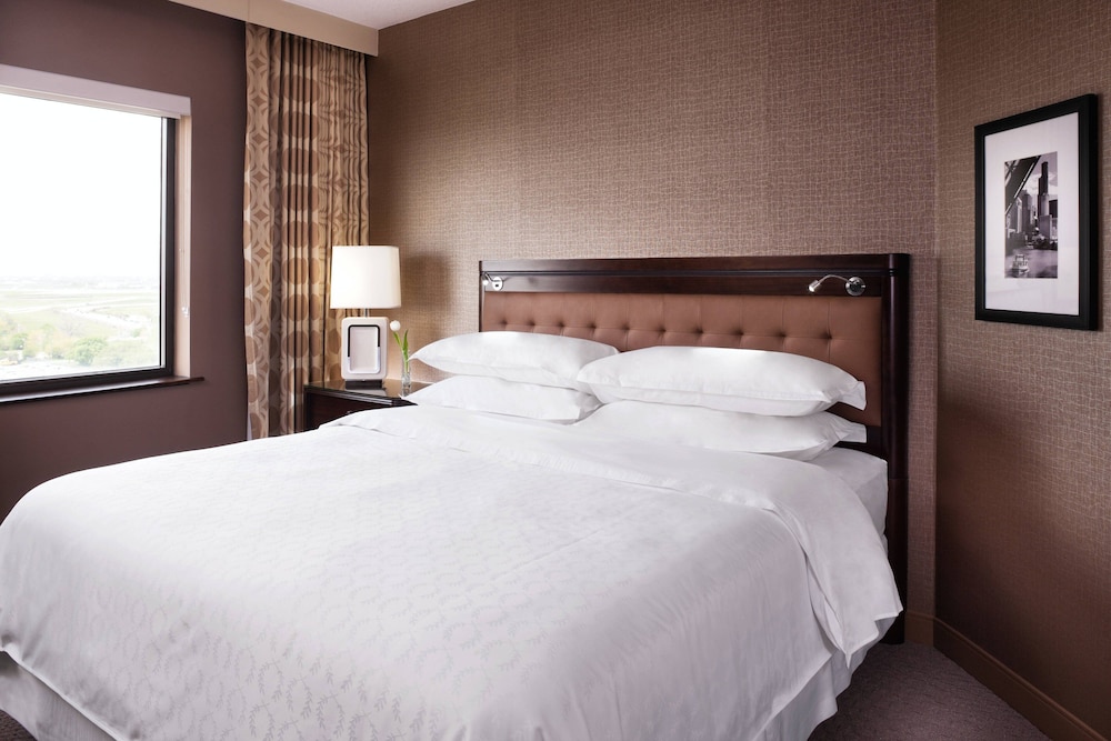 Sheraton Chicago O Hare Airport Hotel 18/73