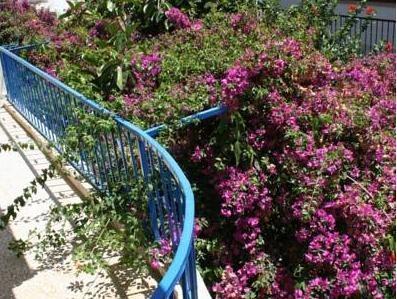 Huzur Royal Otel 18/19