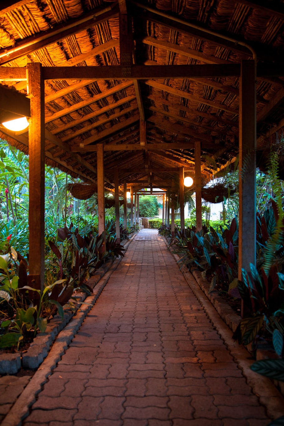 Bird of Paradise Hotel and Apartments 49/51