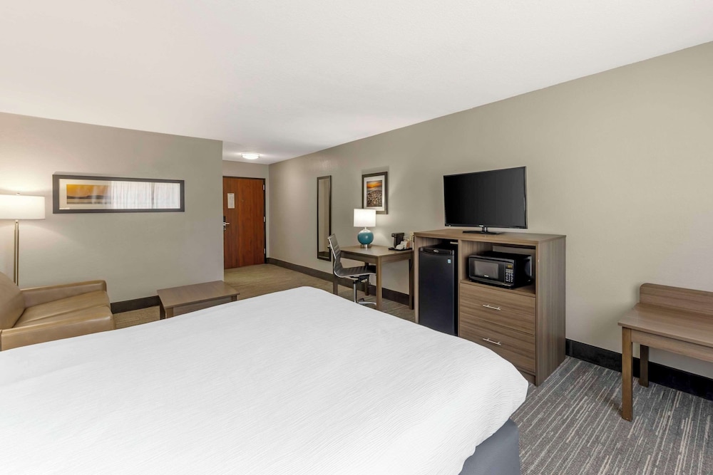 Suite, King Bed, Sofa
