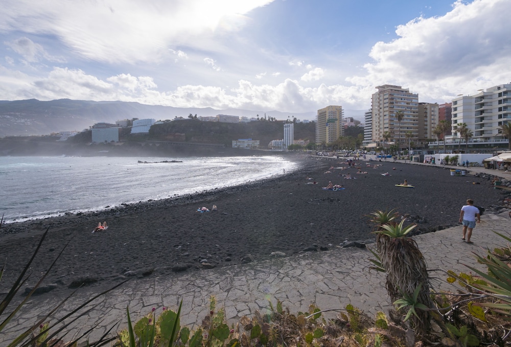 Checkin Concordia Playa 57/64
