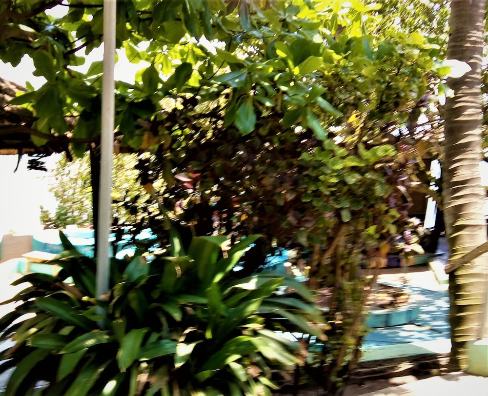 Rising Phoenix Magic Beach Resort 24/32