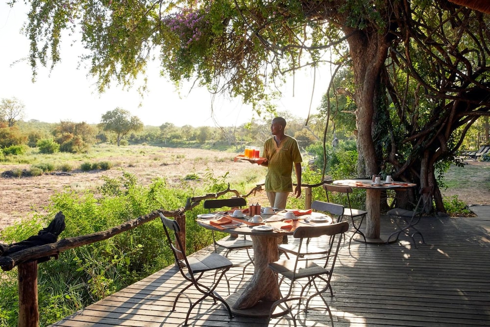Motswari Private Game Reserve Timbavati 41/50