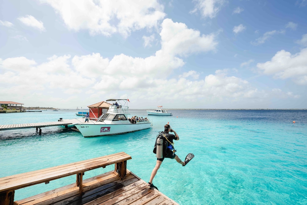 Captain Don's Habitat Bonaire, BW Signature Collection 46/50